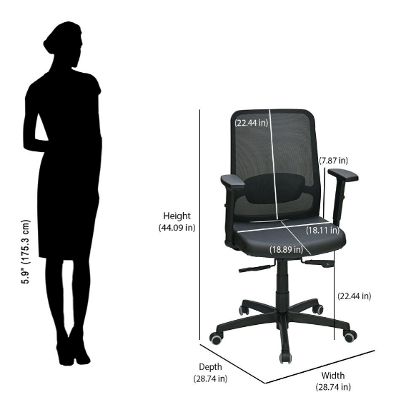 Nilkamal Glory Mid Back Chair (Black)
