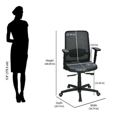 Nilkamal Glory Mid Back Chair (Black)