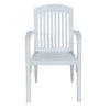 Nilkamal Heritage Plastic Arm Chair