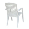 Nilkamal Heritage Plastic Arm Chair