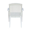 Nilkamal Heritage Plastic Arm Chair