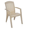 Nilkamal Heritage Plastic Arm Chair (Marble Beige) - Slight Side View 2