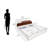 Nilkamal Bruce King Bed with Box Storage (Walnut & Cappuccino)