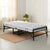 Nilkamal Zoe Folding Bed with Mattress (Black)