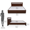 Nilkamal Akin King Bed without Storage (Walnut) - Size In Centimeter