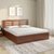Nilkamal Maple Max Solid Wood Bed With Storage (Walnut)
