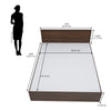Nilkamal Arthur Queen Bed (Walnut) - Size In Inches