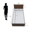 Nilkamal Arthur Single Bed (Walnut)