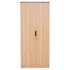 Nilkamal Milford 2 Door Wardrobe (Urban Teak)