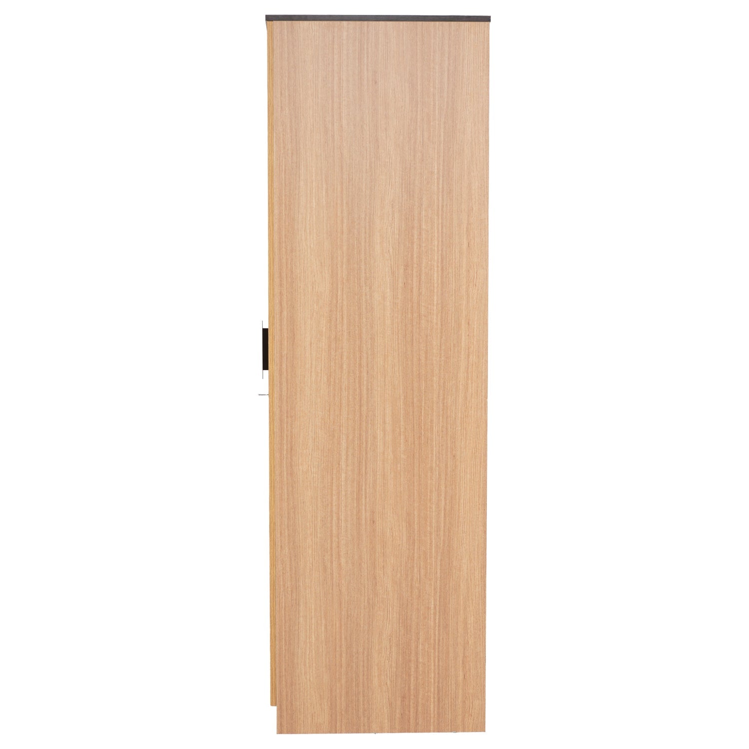 Nilkamal Milford 2 Door Wardrobe (Urban Teak)