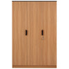Nilkamal Milford 3 Door Wardrobe  (Urban Teak)