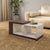 Nilkamal Mono Coffee Table (Legno Oak/Frosty White)