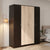 Nilkamal Willy 4 Door Wardrobe without Mirror (Wenge & Sonoma Oak)