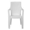 Nilkamal Mystique Plastic Arm Chair