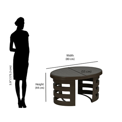 Nilkamal Mystique Plastic Outdoor Set with 4 Chairs and 1 Table (Season Rust Brown)
