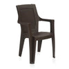 Nilkamal Mystique Plastic Outdoor Set with 2 Chairs and 1 Table (Season Rust Brown)