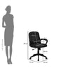 Nilkamal Mayor Low Back Office Chair (Black)