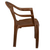 Nilkamal Forest Plastic Arm Chair