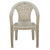 Nilkamal Forest Plastic Arm Chair