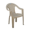 Nilkamal Forest Plastic Arm Chair