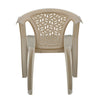 Nilkamal Forest Plastic Arm Chair