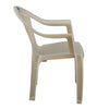 Nilkamal Forest Plastic Arm Chair