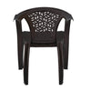 Nilkamal Forest Plastic Arm Chair