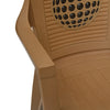 Nilkamal Globe 3D Plastic Arm Chair