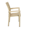 Nilkamal Tulip Plastic Arm Chair