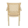 Nilkamal Tulip Plastic Arm Chair