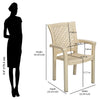 Nilkamal Tulip Plastic Arm Chair