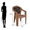 Nilkamal Empire Plastic Arm Chair