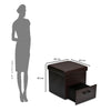 Nilkamal Flexi Small Foldable Ottoman with 1 Drawer (Brown)