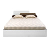 Nilkamal Bruce King Bed with Box Storage (Walnut & Cappuccino) - Front View 2