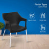 Nilkamal Novella 10 Plastic Arm Chair (Black) - Finish Type