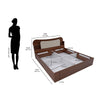 Nilkamal Daffodil Queen Bed with Box Storage (Walnut) - Size In Inches
