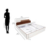 Nilkamal Bruce Queen Bed with Box Storage (Walnut & Cappuccino) - Size In Centimeter