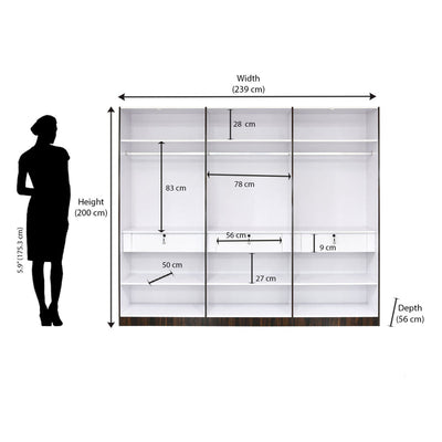 Nilkamal Salsa 6 Door Wardrobe (Brown)