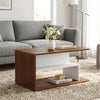 Nilkamal Sara Center Table (Classic Walnut & White)