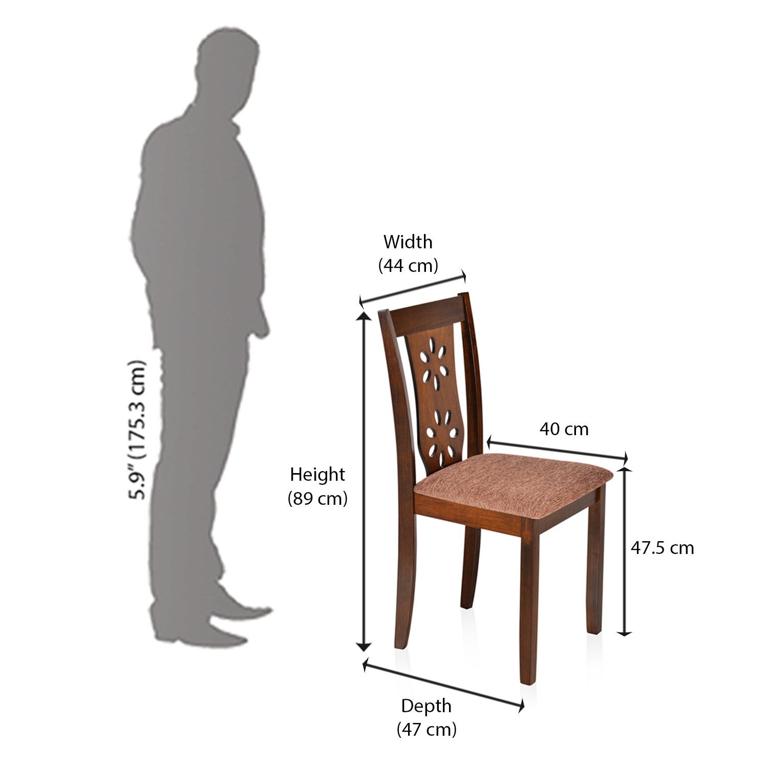 Nilkamal Sutlej Dining Chair (Antique Cherry)