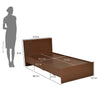 Nilkamal Arthur Plus Single Bed (Legno Oak Dark)