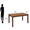 Nilkamal Rover 4 Seater Dining Set with Bench (Walnut Brown)