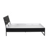 Nilkamal Urbenia Engineered Wood Without Storage Queen Bed (Black)