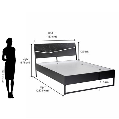 Nilkamal Urbenia Engineered Wood Without Storage Queen Bed (Black)