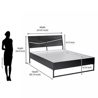 Nilkamal Urbenia Engineered Wood Without Storage Queen Bed (Black)