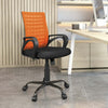Nilkamal Giza Mid Back Office Chair