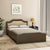Nilkamal Willy Double Bed without Storage (Wenge & Sonoma Oak)