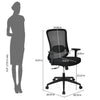 Nilkamal Sphere Mid Back Mesh Office Chair