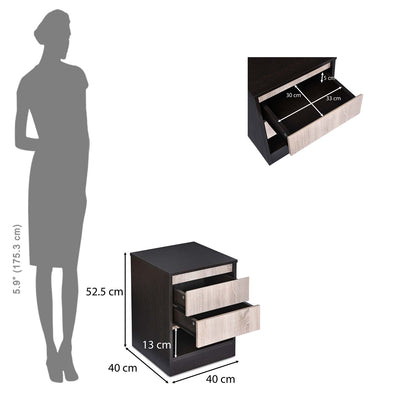 Nilkamal Riva Night Stand (Wenge & Sonoma Oak)