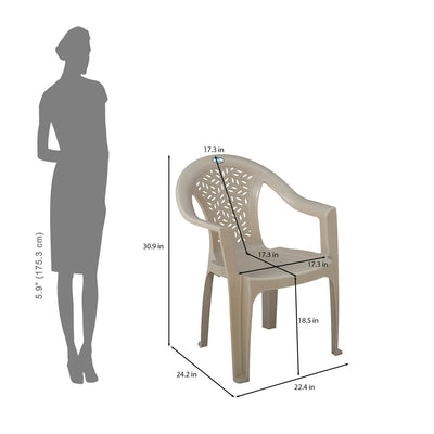 Nilkamal Forest Plastic Arm Chair